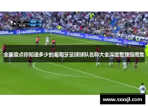 全面盘点你知道多少的葡萄牙足球球队名称大全深度整理指南集