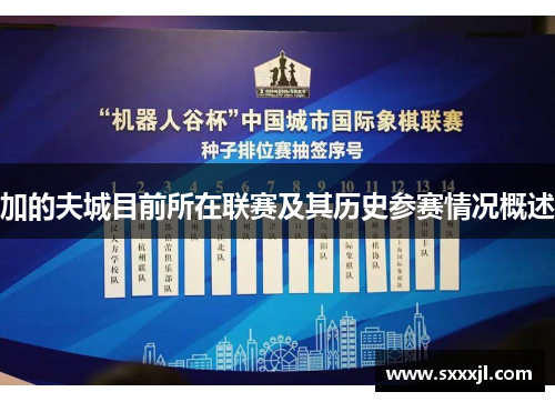 加的夫城目前所在联赛及其历史参赛情况概述